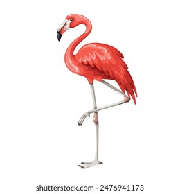 American or Caribbean flamingo, cartoon red wading bird. Funny portrait of exotic pink flamingo standing on one leg. Tropical beach, zoo and jungle, cartoon wild fauna mascot vector illustration