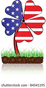 american clover