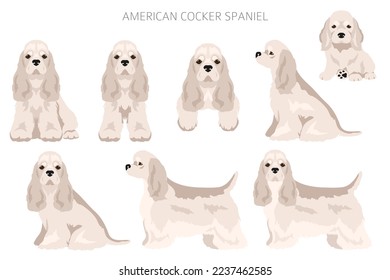 American cocker spaniel all coat colors clipart. All dog breeds infographic.  Vector illustration