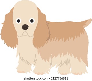 The American Cocker Spaniel is a breed of sporting dog. It is a happy breed with average working intelligence, although by being bred to a show standard it is no longer an ideal working dog.