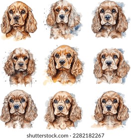 American Cocker Spaniel Realistic Hand Drawn Artistic Watercolor Illustration, Sticker on the Wall, Dog Head Portrait isolated on a White Background.