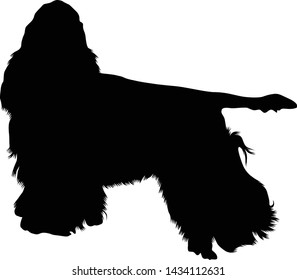 American Cocker Spaniel Silhouette Isolated On White