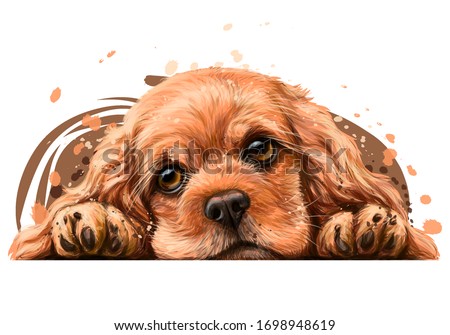 American Cocker Spaniel. Sticker on the wall. Realistic, hand-drawn, artistic, color portrait of an American Cocker Spaniel puppy on a white background in watercolor style.