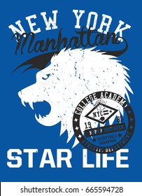 American College Academy graphic design vector art