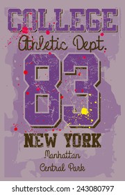 american college new york city vector art