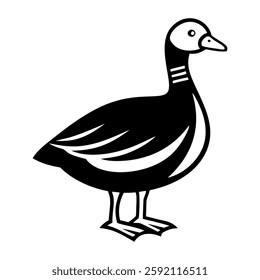 American coot icon in solid style