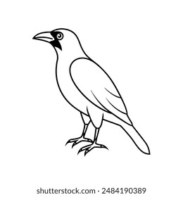 American crow bird line art icon