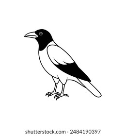 American crow bird line art icon