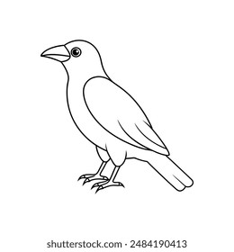 American crow bird line art icon