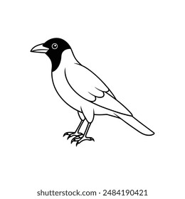 American crow bird line art icon