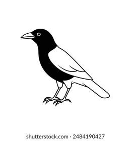 American crow bird line art icon