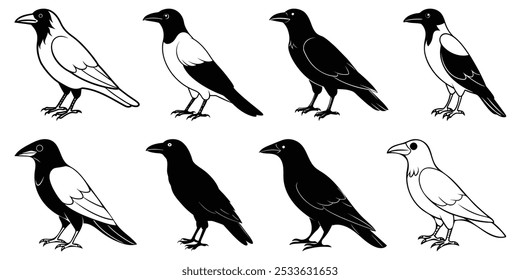 American Crow silhueta vactor Set Design