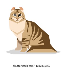 American Curl Cat Breed on white background