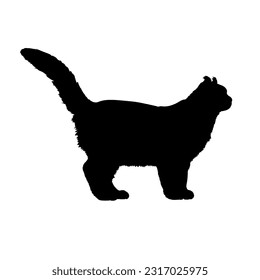 American Curl cat breed silhouette