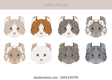 American Curl cat clipart. All coat colors set.  All cat breeds characteristics infographic. Vector illustration