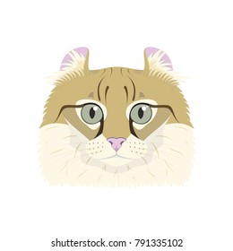 American Curl cat isolated on white background vector illustration