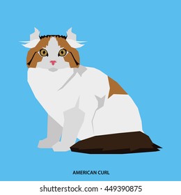 American, curl, Isolated cat breed, Vector illustration