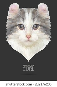 American curl vector polygon geometric