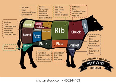 American cuts of beef meat. EPS10. 