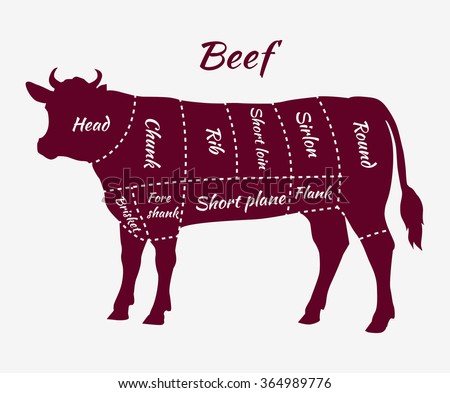 American cuts of beef. Scheme of beef cuts for steak and roast. Butcher cuts scheme. Beef cuts diagram in vintage style. Meat cutting beef. Menu template grilling steaks and cow. Vector illustration