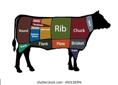 American cuts of beef. Vector illustration. EPS10.