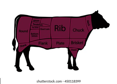 American cuts of beef. Vector illustration. EPS10.