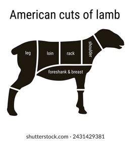 American cuts of lamb. Sheep meat cutting diagram. Schema for a butcher shop. Vector illustration isolated on a white background