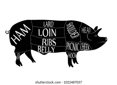 American Cuts Pork Butcher Cuts Scheme Stock Vector (Royalty Free ...