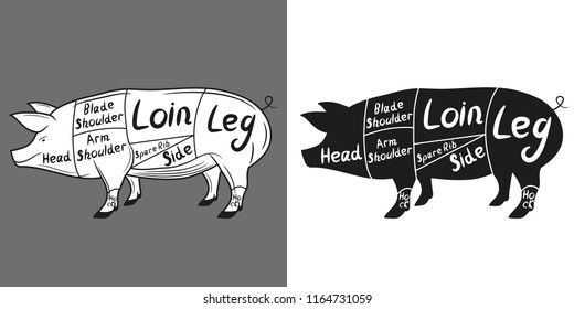 American cuts of pork (US). Pork cutting scheme lettering: head, blade shoulder, arm shoulder, loin, leg, spare rib, side, hock. Vector illustration.