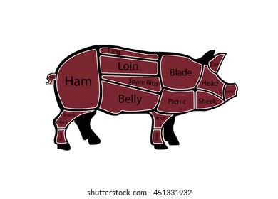 American cuts of pork. Vector illustration. EPS10.
