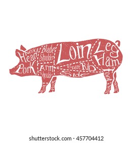 American cuts of pork, vintage typographic hand-drawn butcher cuts scheme. Vector illustration.