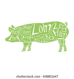American cuts of pork, vintage typographic hand-drawn butcher cuts scheme. Vector illustration.