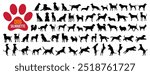 American dog breed, puppy or black pet animal silhouette collection isolated on white background. Standing, running and hunting dog icon or symbol. Happy playful wild dog silhouette art with paw sign.