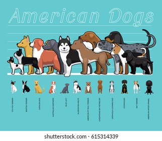 American Dogs Size Comparison Set Cartoon Vector Illustration