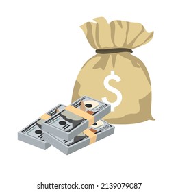 Ilustración vectorial del dólar estadounidense. Billetes en el paquete de billetes estadounidenses. Bolsa de dinero 100 USD. Estilo plano. Aislado sobre fondo blanco. Diseño sencillo y mínimo.