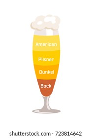 American and dunkel, pilsner and bock which are beer types with foam of different color isolated on vector illustration on white background.