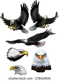 American eagle 