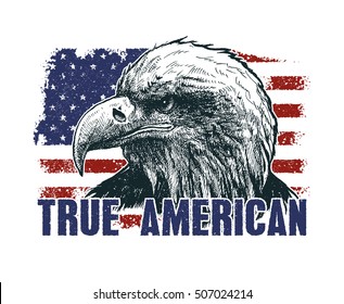 American eagle against USA flag. Vector illustration