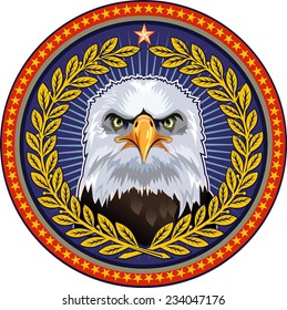 American Eagle / Bald Eagle