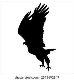 American Eagle Bird Silhouette Vector illustration