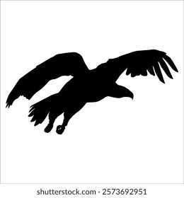 American Eagle Bird Silhouette Vector illustration