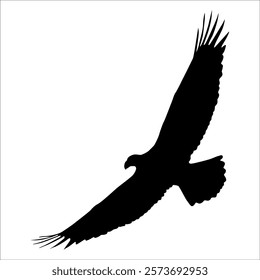 American Eagle Bird Silhouette Vector illustration