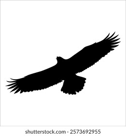 American Eagle Bird Silhouette Vector illustration