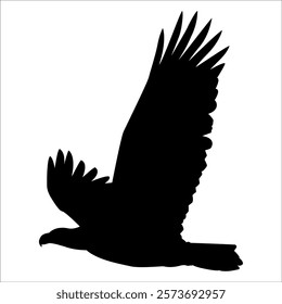 American Eagle Bird Silhouette Vector illustration