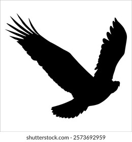 American Eagle Bird Silhouette Vector illustration