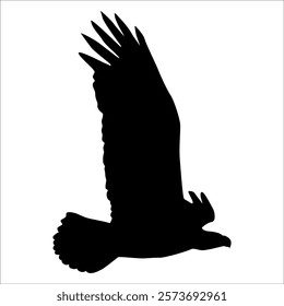 American Eagle Bird Silhouette Vector illustration