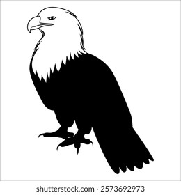 American Eagle Bird Silhouette Vector illustration