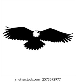 American Eagle Bird Silhouette Vector illustration