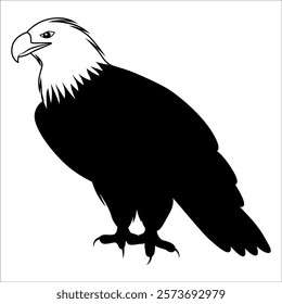 American Eagle Bird Silhouette Vector illustration