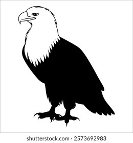 American Eagle Bird Silhouette Vector illustration